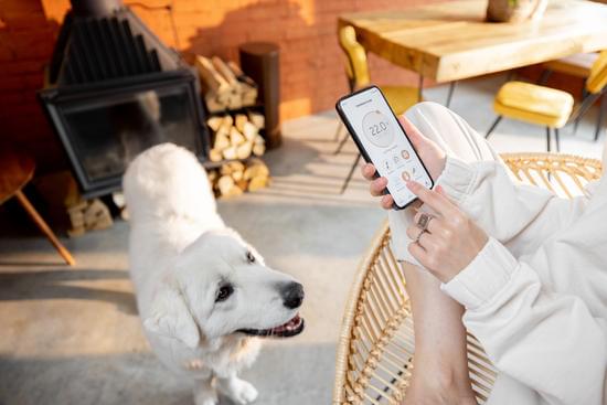 come fare l'illuminazione di casa domotica con google home